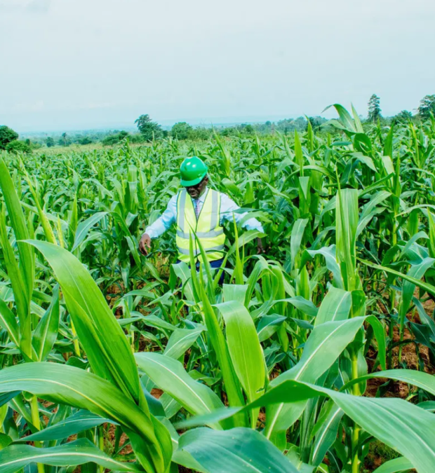 Untitled design (21)