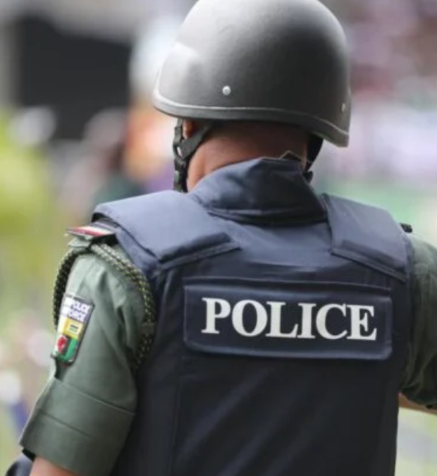 Untitled design (24)