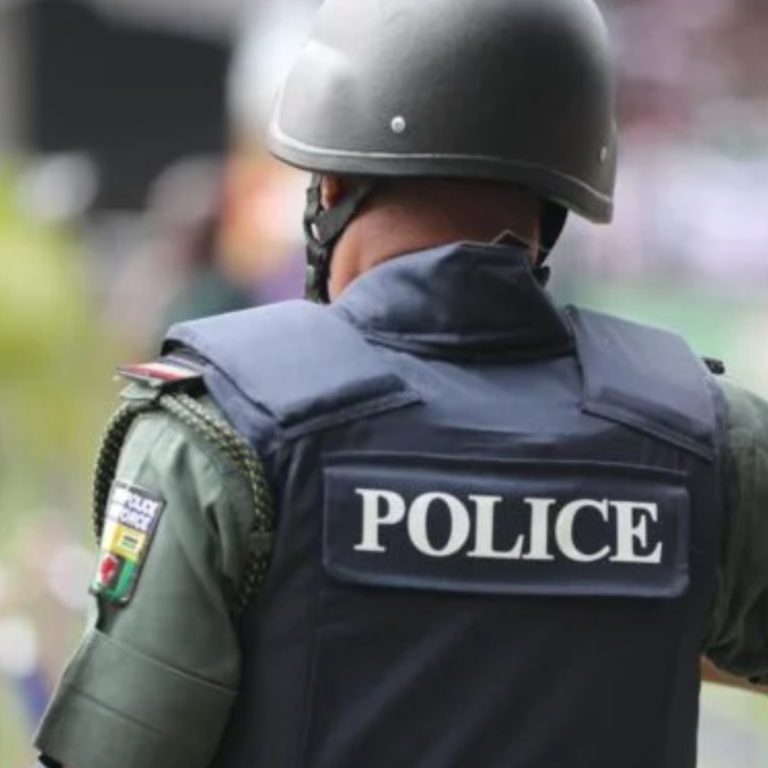 Untitled design (24)